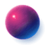 Essence of Insight