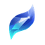Essence of Flow